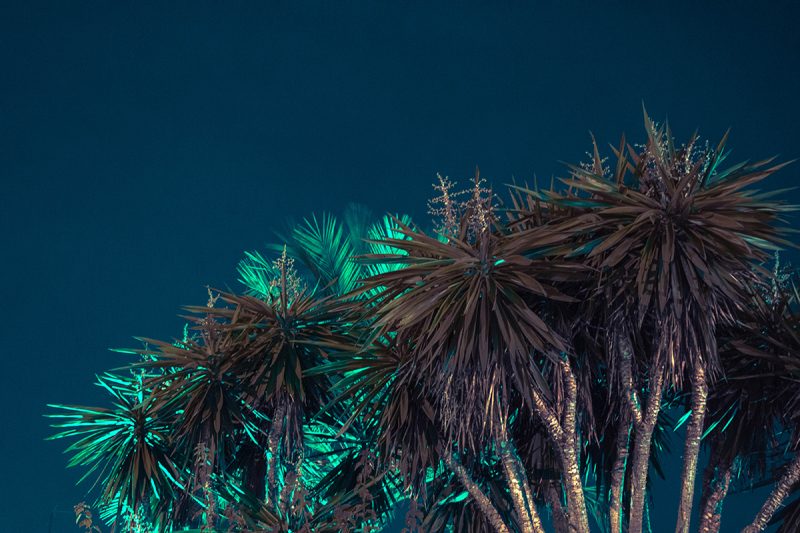 Photography, al mefer, art, creative, post processing, photo editing, art