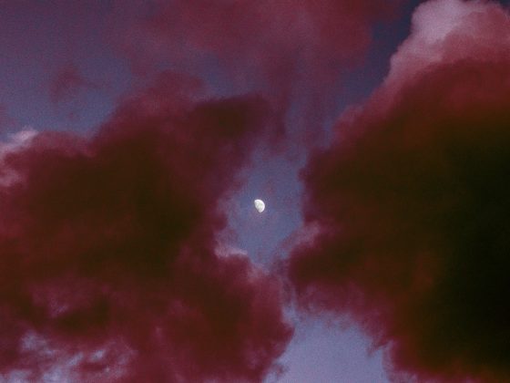 Photography, al mefer, art, creative, post processing, photo editing, art