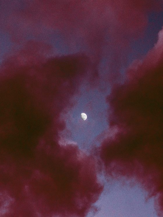 Photography, al mefer, art, creative, post processing, photo editing, art