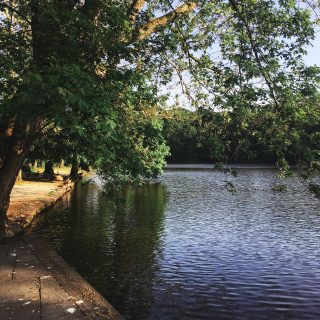 Avalon stony brook long island new york park greenery relax preserve