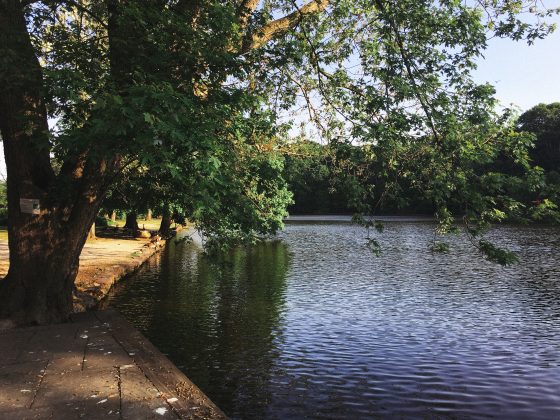 Avalon stony brook long island new york park greenery relax preserve