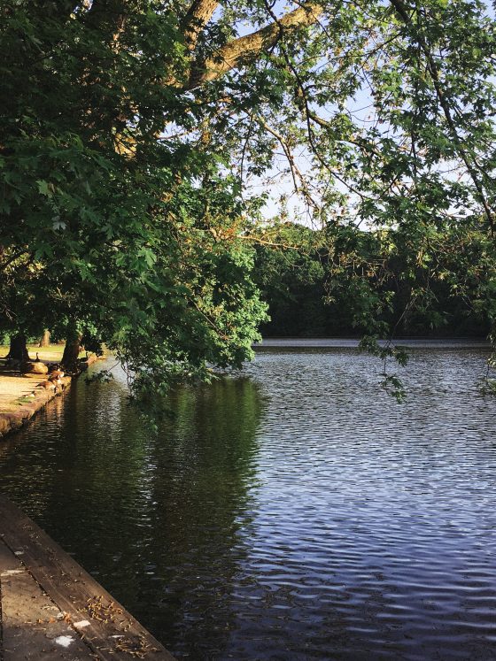 Avalon stony brook long island new york park greenery relax preserve