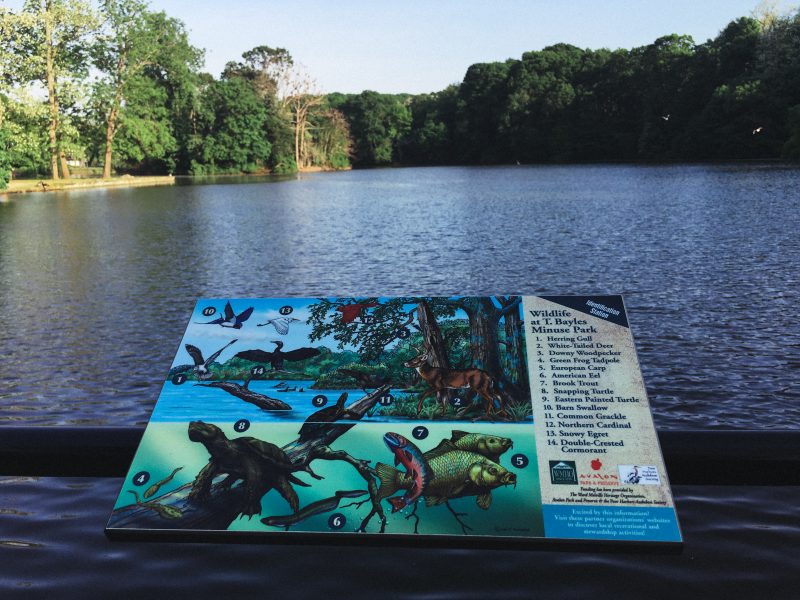 Avalon stony brook long island new york park greenery relax preserve