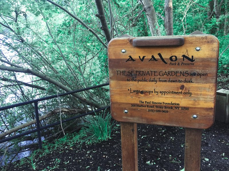 Avalon stony brook long island new york park greenery relax preserve
