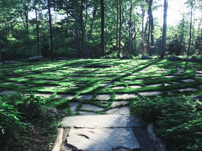 Avalon stony brook long island new york park greenery relax preserve