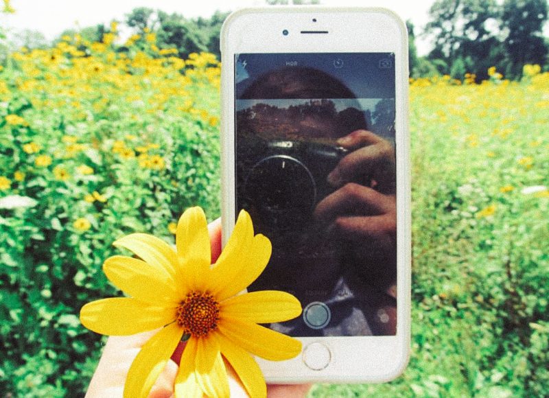 Avalon stony brook long island new york park greenery relax preserve