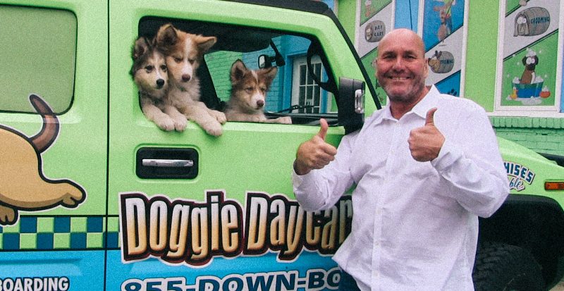 hounds town usa doggie care go pet vacation pet sitting