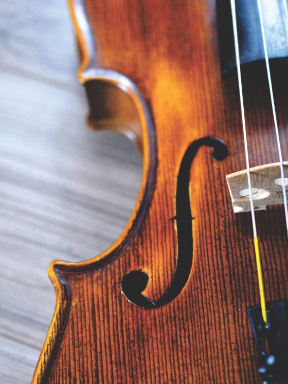 The Red Door Chamber Players classic music violin piano