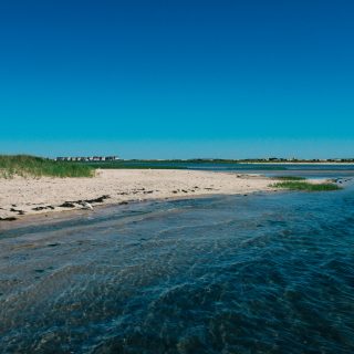 Paddleboarding, Get Salty, Water, Bay, Summer, Beach