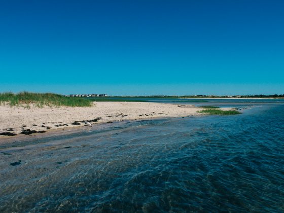 Paddleboarding, Get Salty, Water, Bay, Summer, Beach