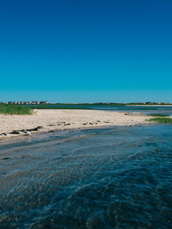 Paddleboarding, Get Salty, Water, Bay, Summer, Beach