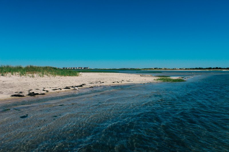 Paddleboarding, Get Salty, Water, Bay, Summer, Beach