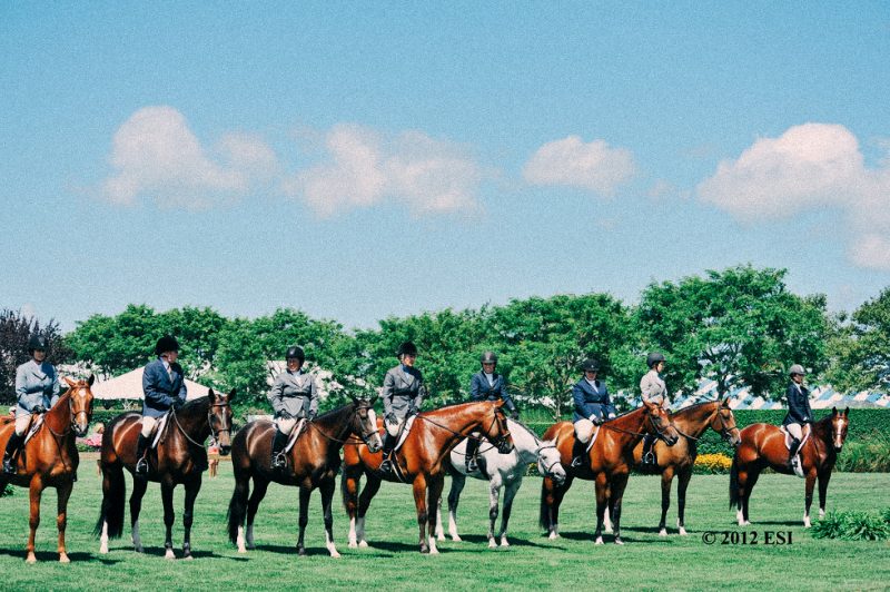 Hampton Classic Horses racing long island new york