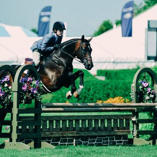 Hampton Classic Horses racing long island new york