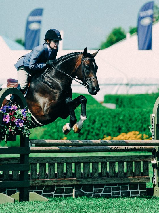 Hampton Classic Horses racing long island new york