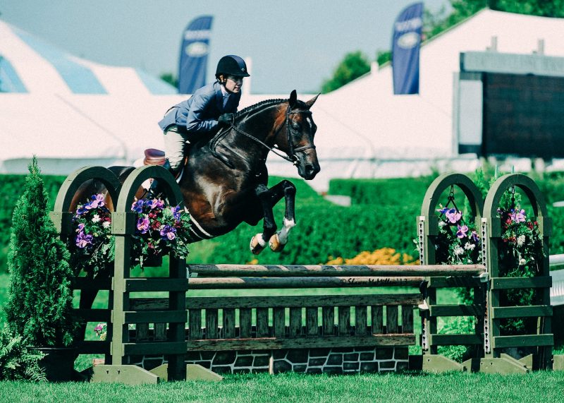 Hampton Classic Horses racing long island new york