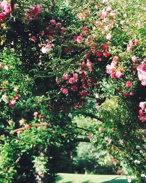 Garden Long Island House Reserve Flowers park New York Greenery Art Sculptures Meditation