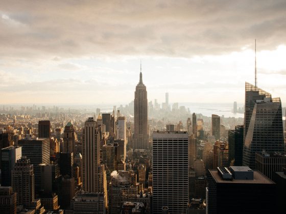 Dasha lifestyle wellness brand new york city business professionals healthy living