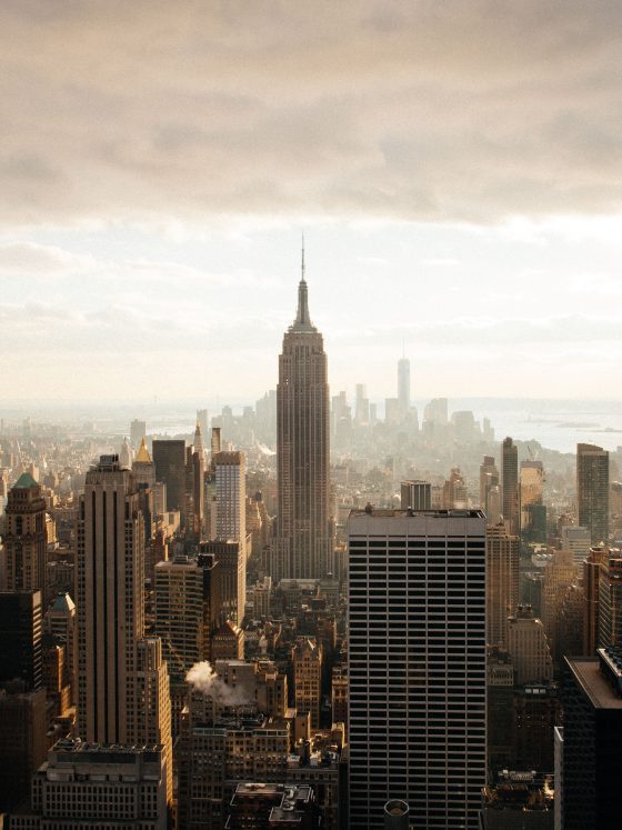 Dasha lifestyle wellness brand new york city business professionals healthy living