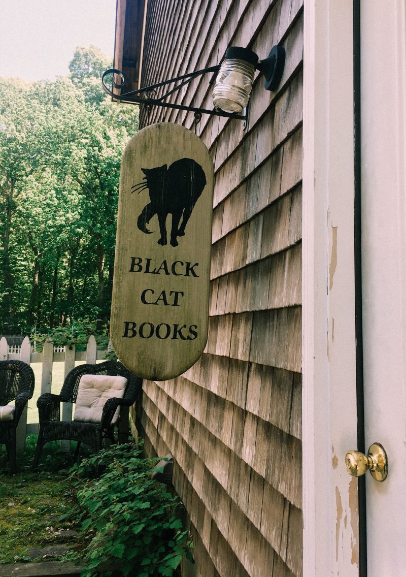 Books library reading black cat books easthampton long island the hamptons