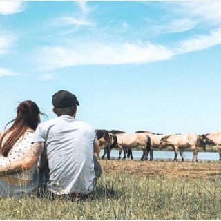 travel couple experience norway wolf love soul mates relationship