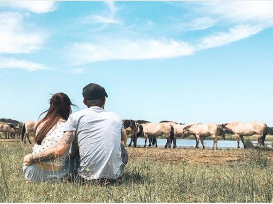 travel couple experience norway wolf love soul mates relationship