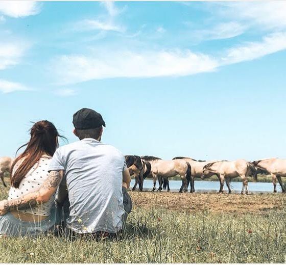 travel couple experience norway wolf love soul mates relationship