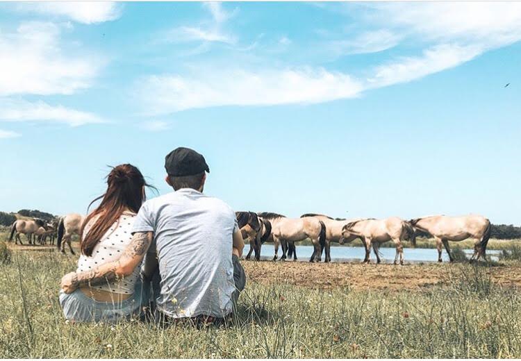 travel couple experience norway wolf love soul mates relationship